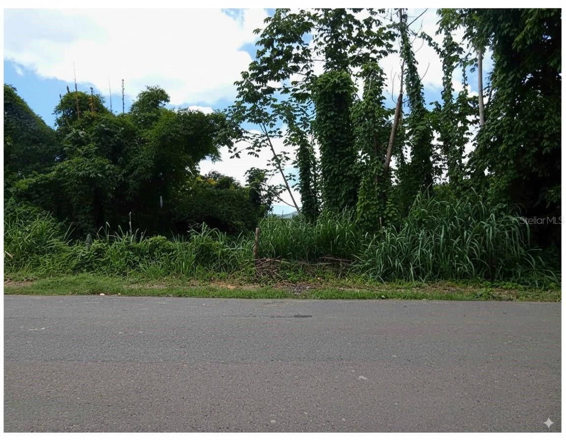 SR 108 KM 7.4 RIO CAÑAS WD #C-1, Anasco, PR 00610