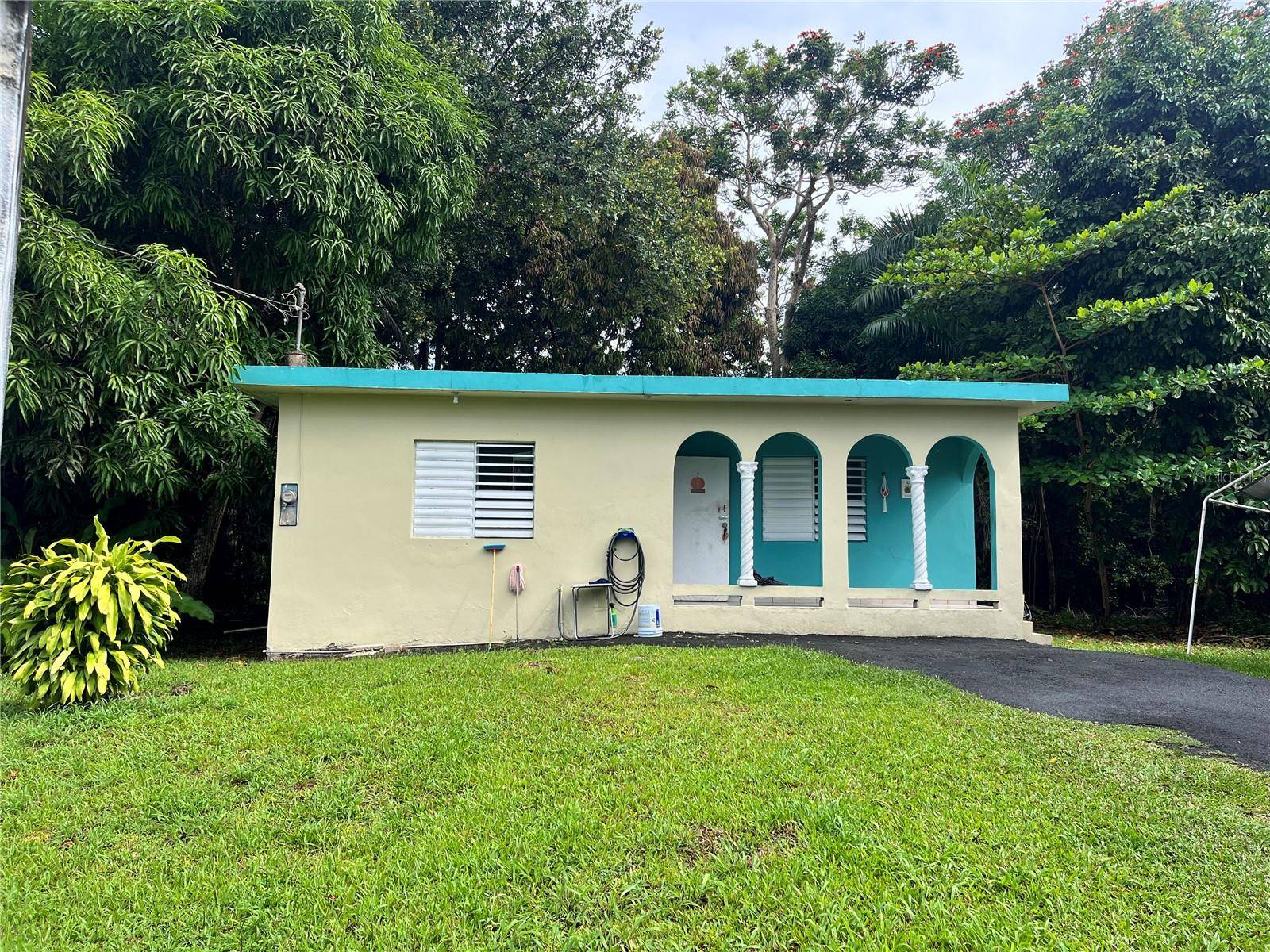 935 CEIBA NORTE, Juncos, PR 00777