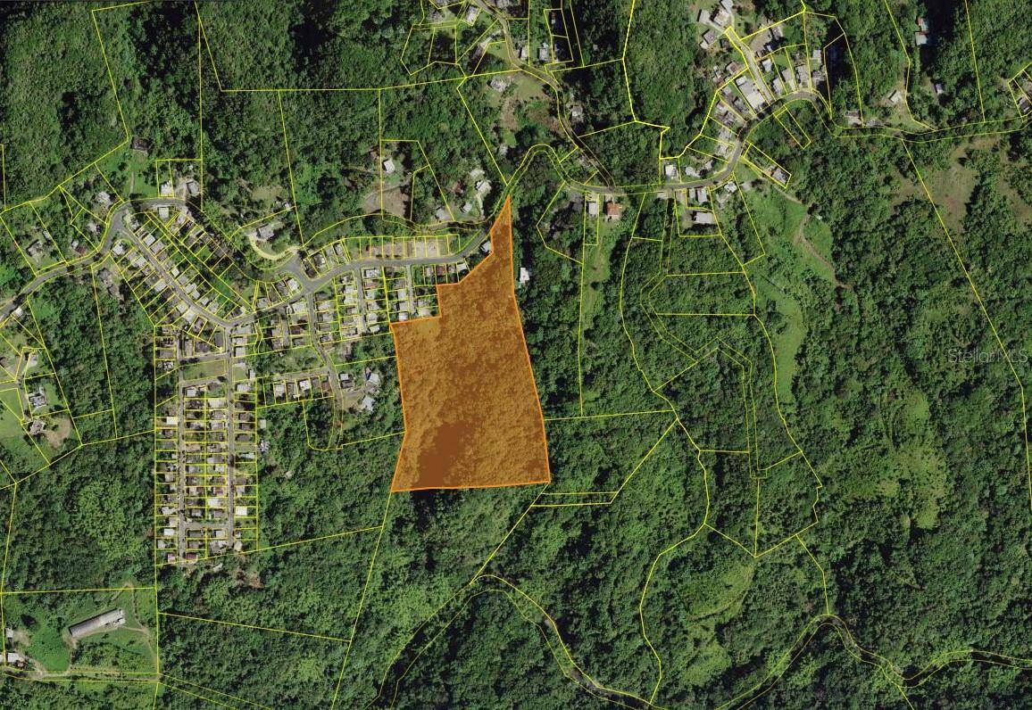 Solar 19 BARRIO CORDILLERA, Ciales, PR 00638