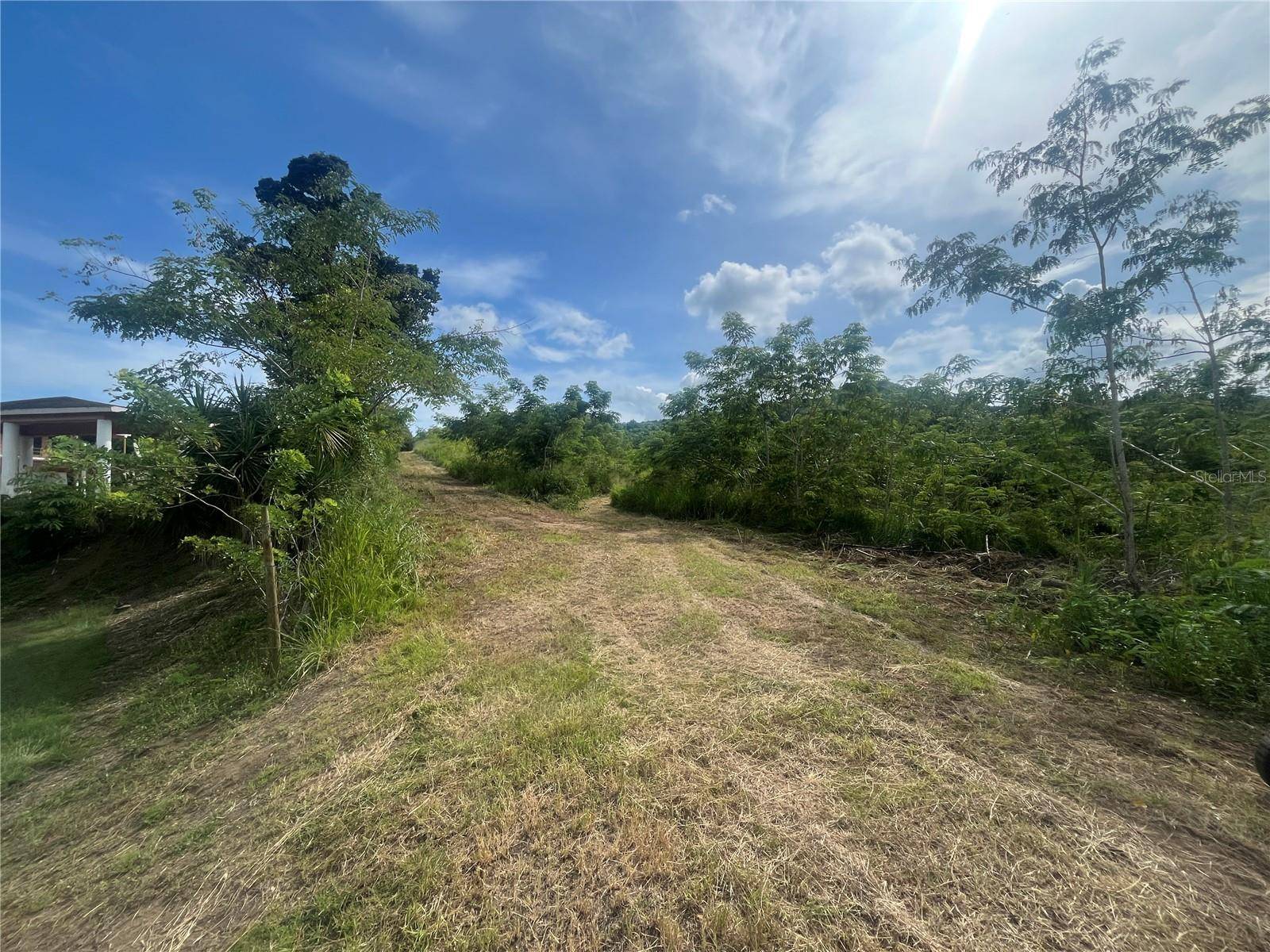 KM HM 17.7 CARR 150, Coamo, PR 00769