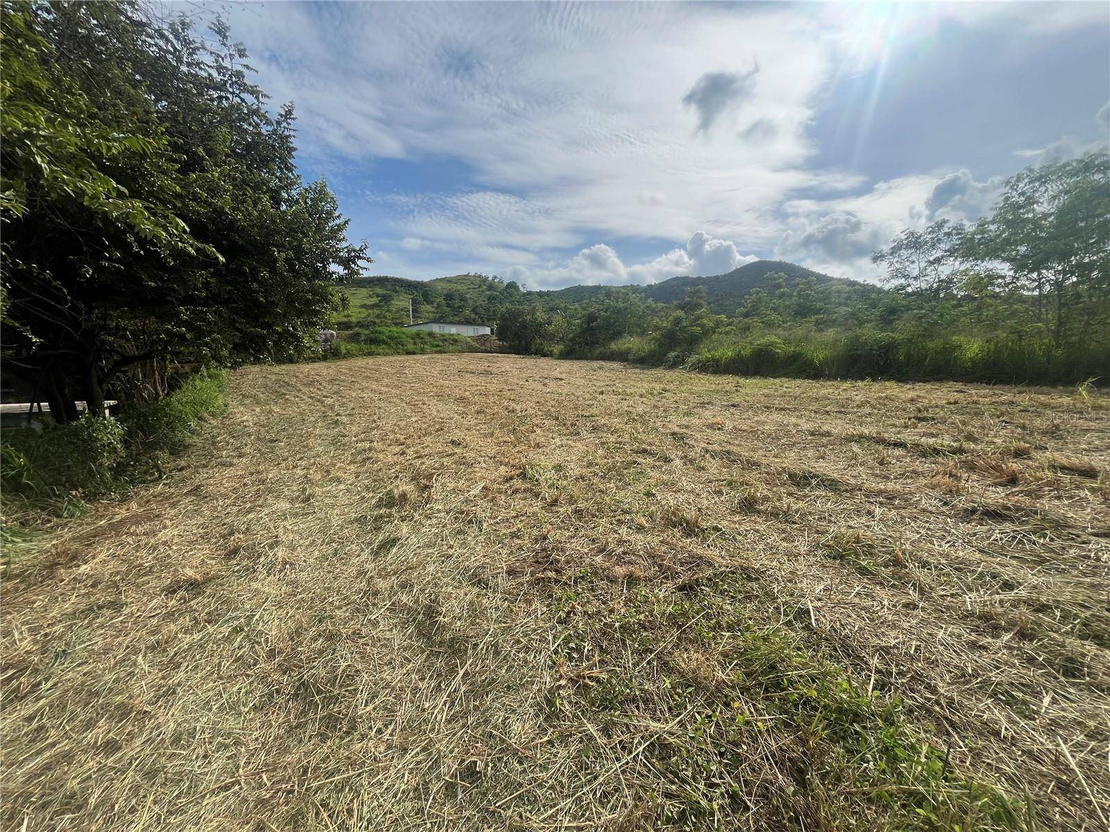 KM HM 17.7 CARR 150, Coamo, PR 00769