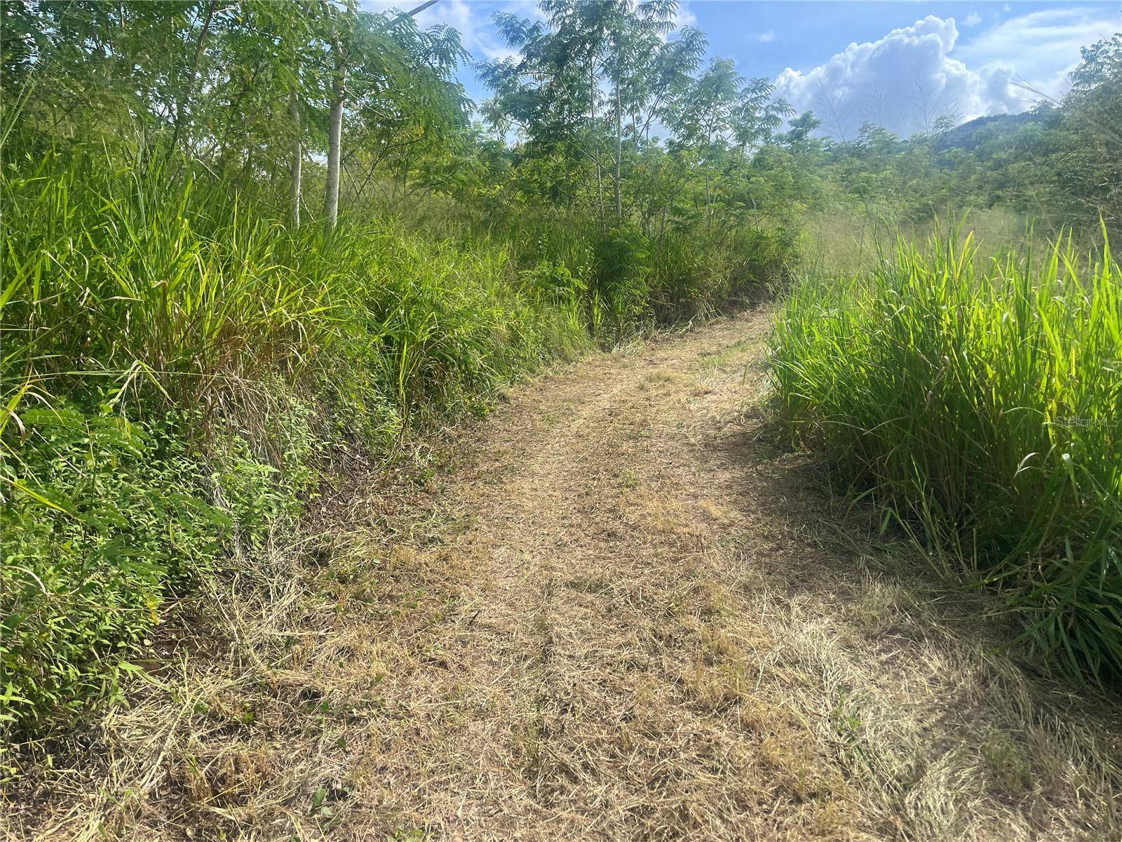 KM HM 17.7 CARR 150, Coamo, PR 00769