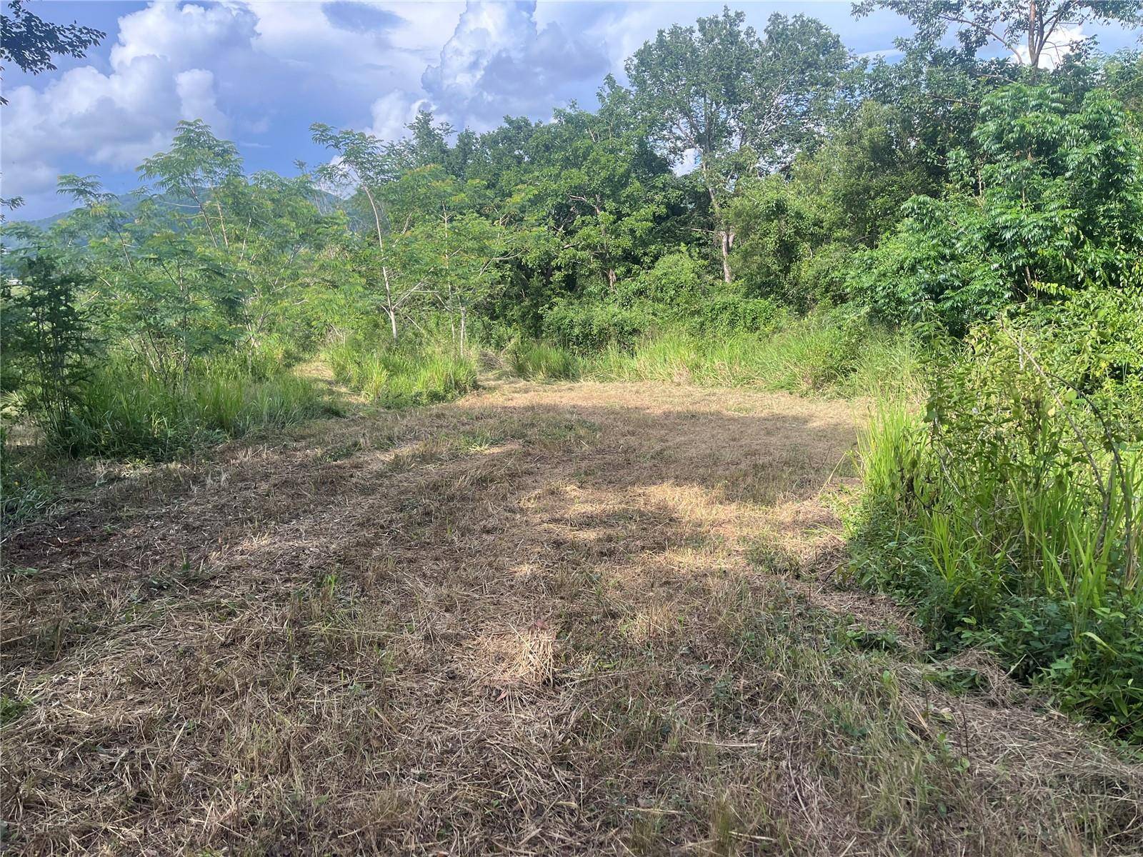 KM HM 17.7 CARR 150, Coamo, PR 00769