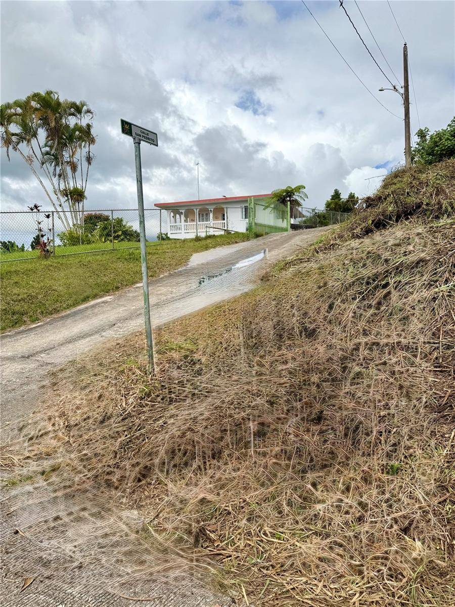 CALLE PINEROS, Cayey, PR 00736