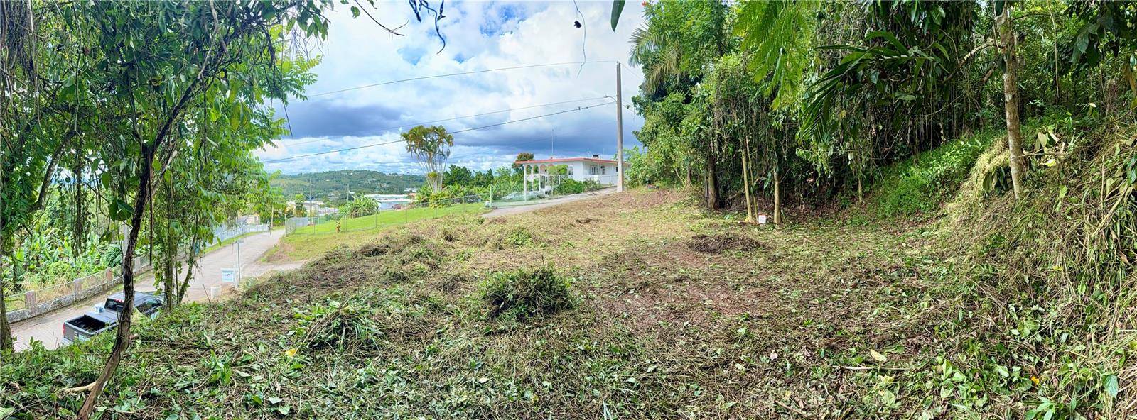 CALLE PINEROS, Cayey, PR 00736
