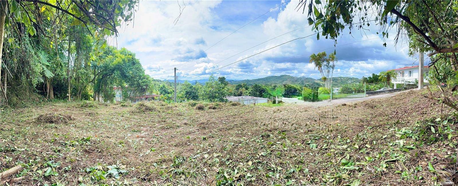 CALLE PINEROS, Cayey, PR 00736