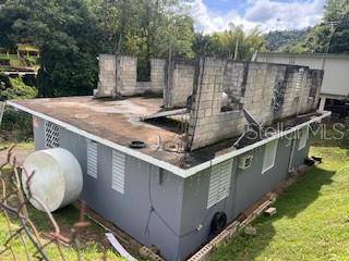 Sector Titulo V BO. YAHUECAS, Adjuntas, PR 00601
