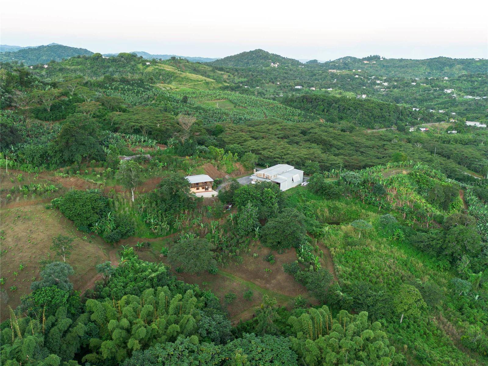 SR 526 BOSQUE TANAMA, Adjuntas, PR 00601
