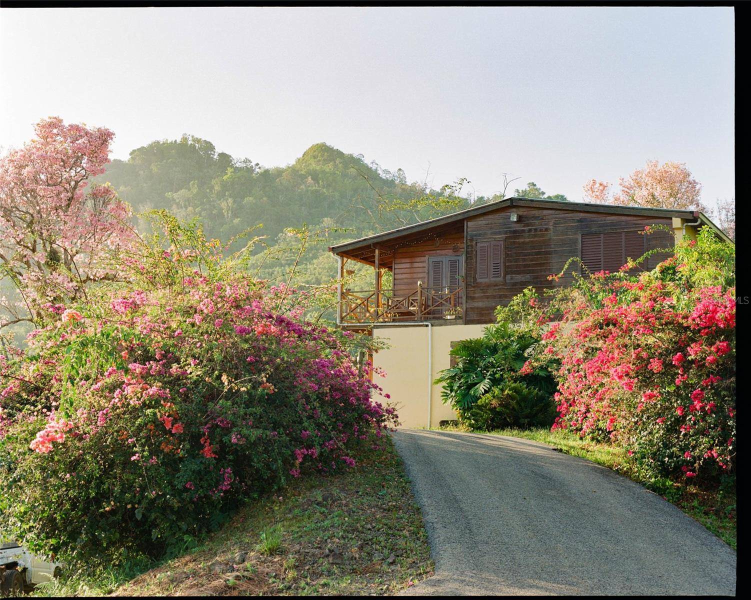 SR 526 BOSQUE TANAMA, Adjuntas, PR 00601