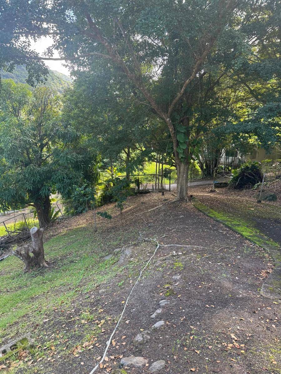 185 KM 6.1 CAMPO RICO RD, Canovanas, PR 00729