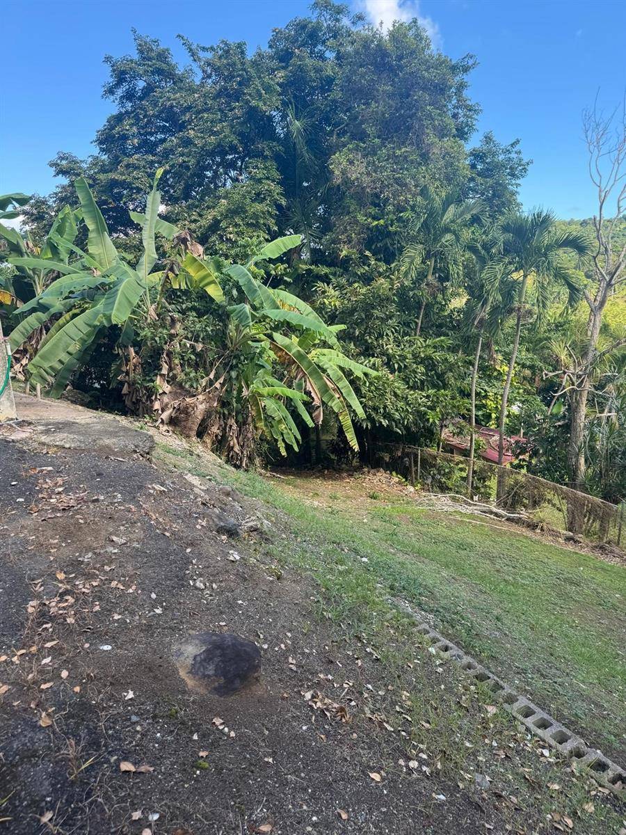 185 KM 6.1 CAMPO RICO RD, Canovanas, PR 00729