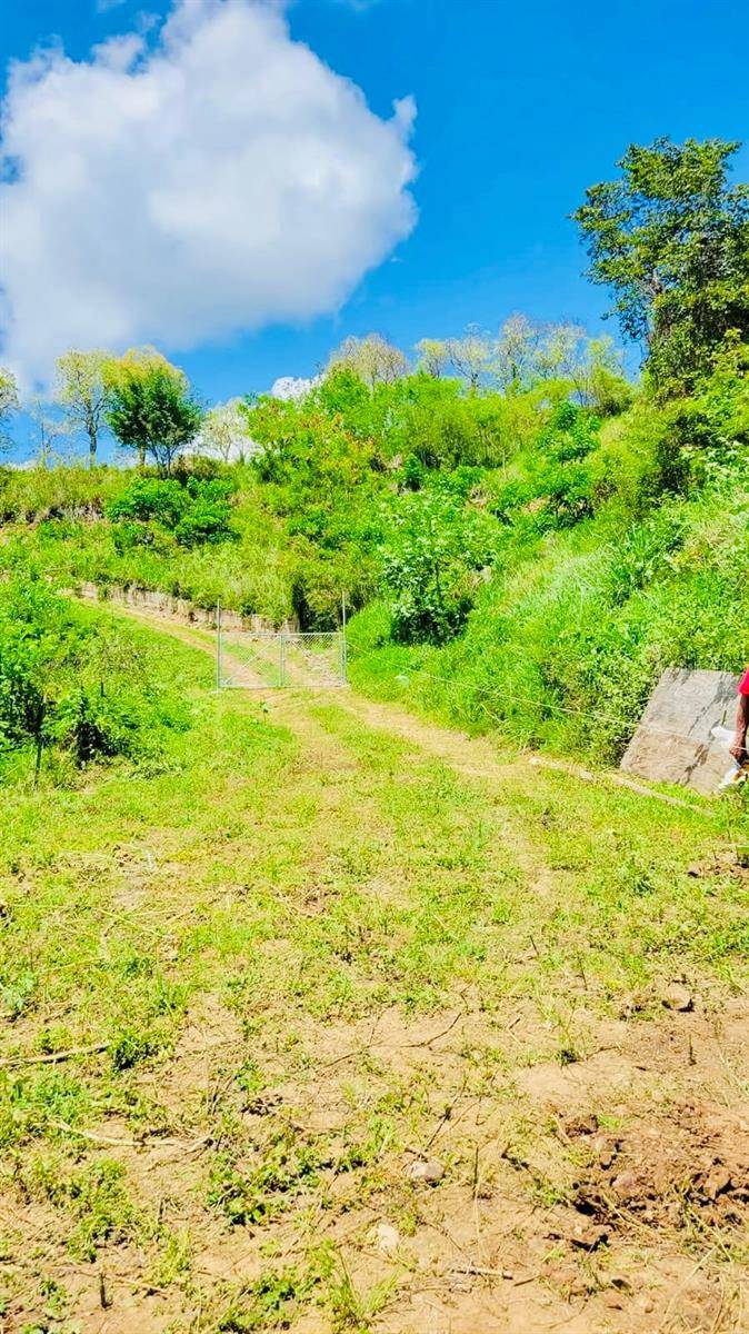 14 ROUTE #KM 41.0, Coamo, PR 00769