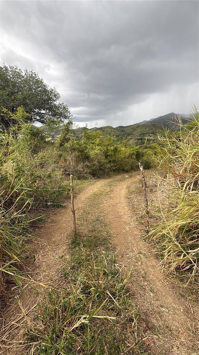 14 ROUTE #KM 41.0, Coamo, PR 00769