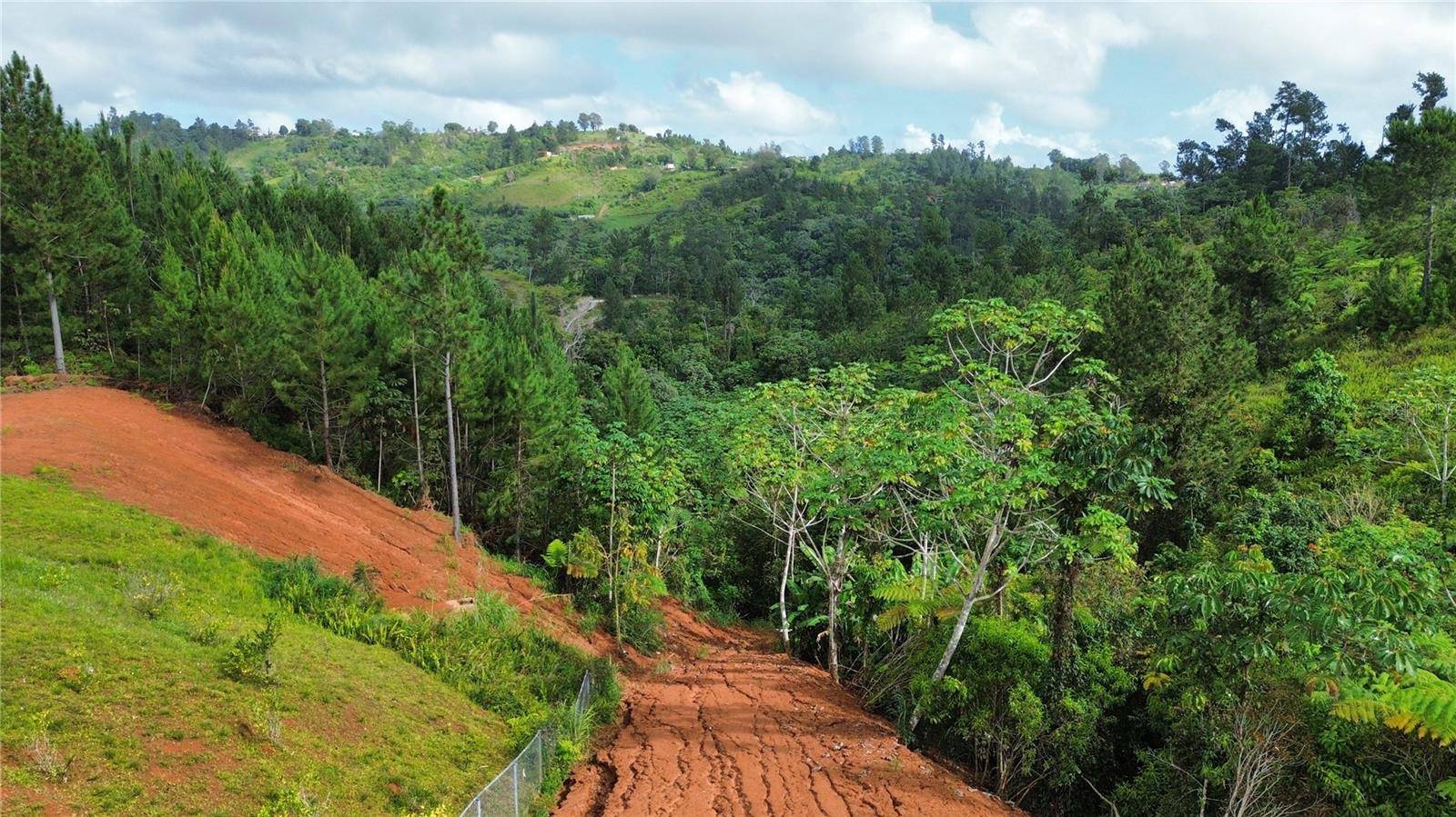 Bo. Maná CARR. 802 KM 2.5, Corozal, PR 00783
