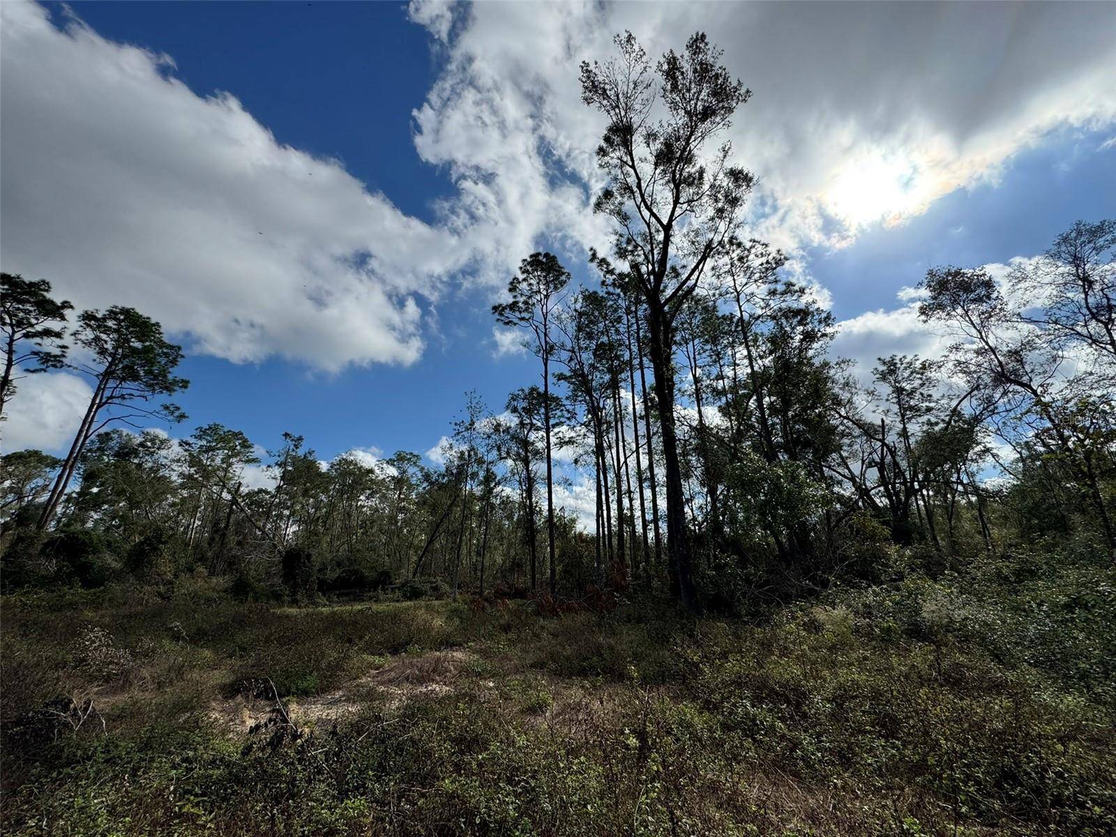 143RD DR, O'brien, FL 32071