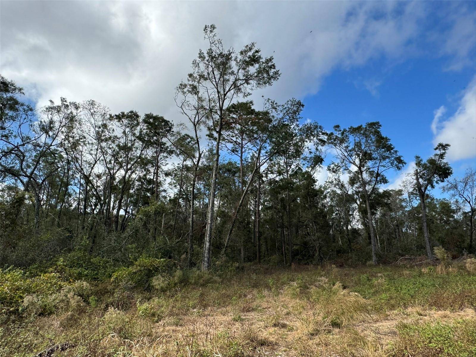 143RD DR, O'brien, FL 32071