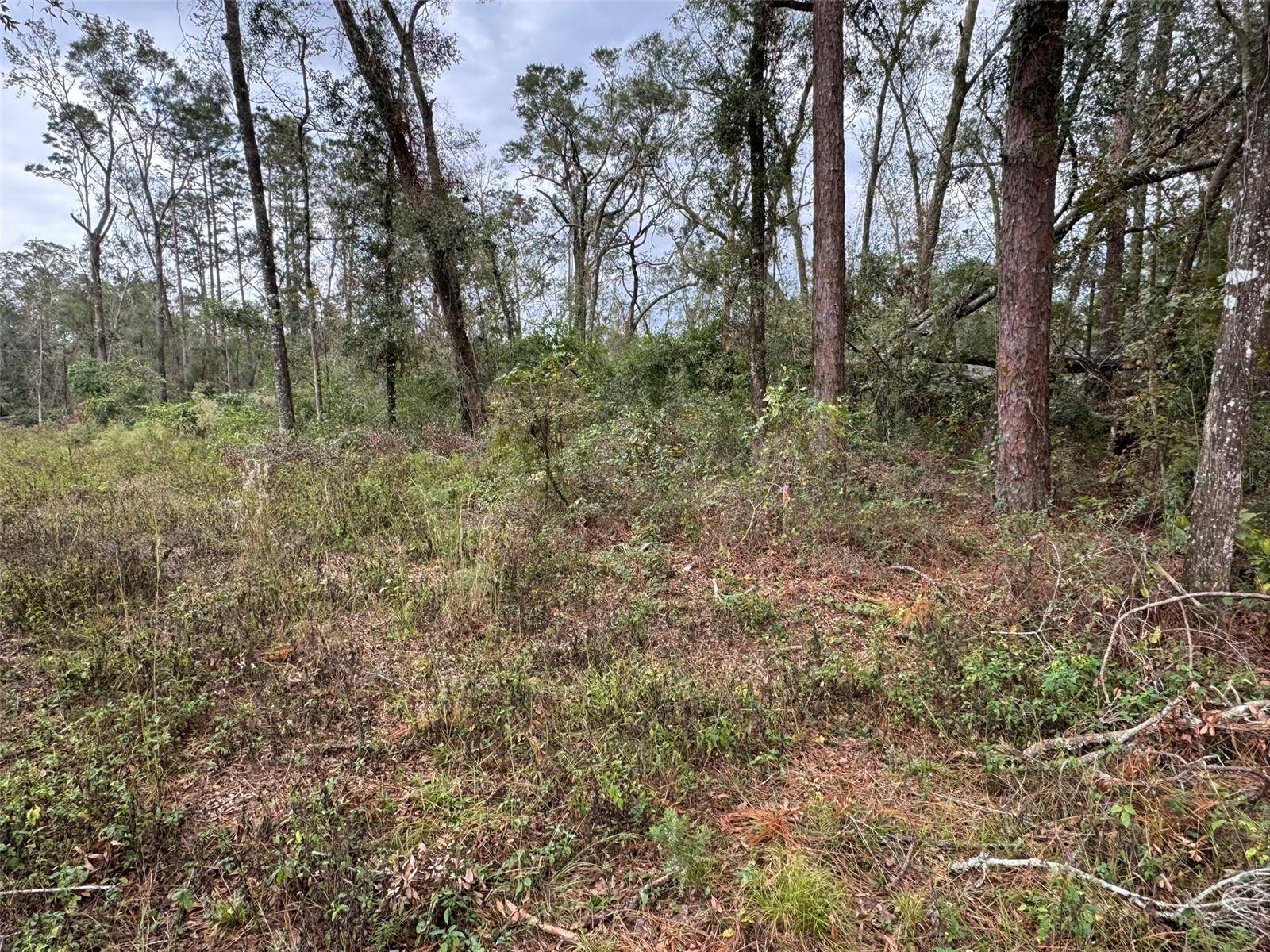143RD DR, O'brien, FL 32071