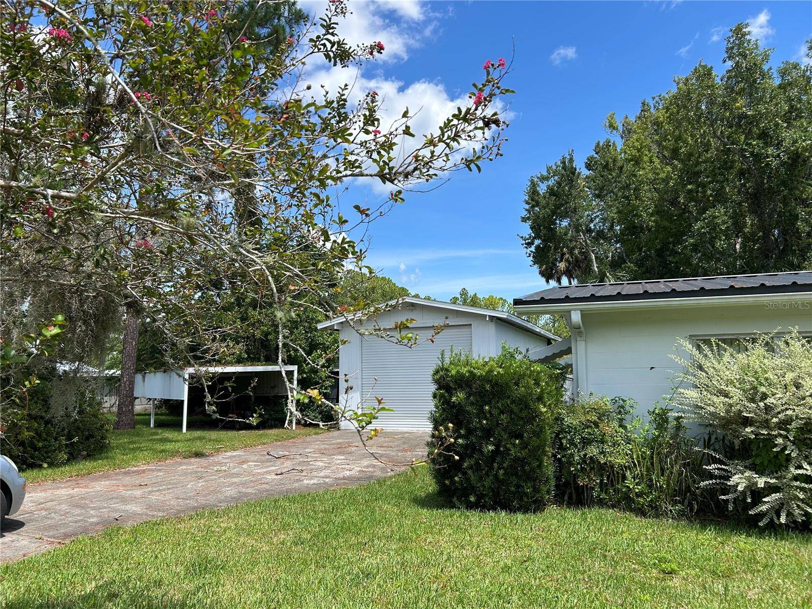 24121 ARMADILLO RD, Astor, FL 32102