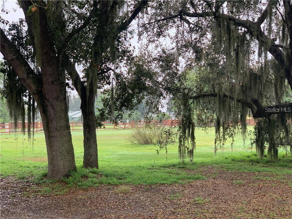 MARJORIE RD, St Cloud, FL 34772