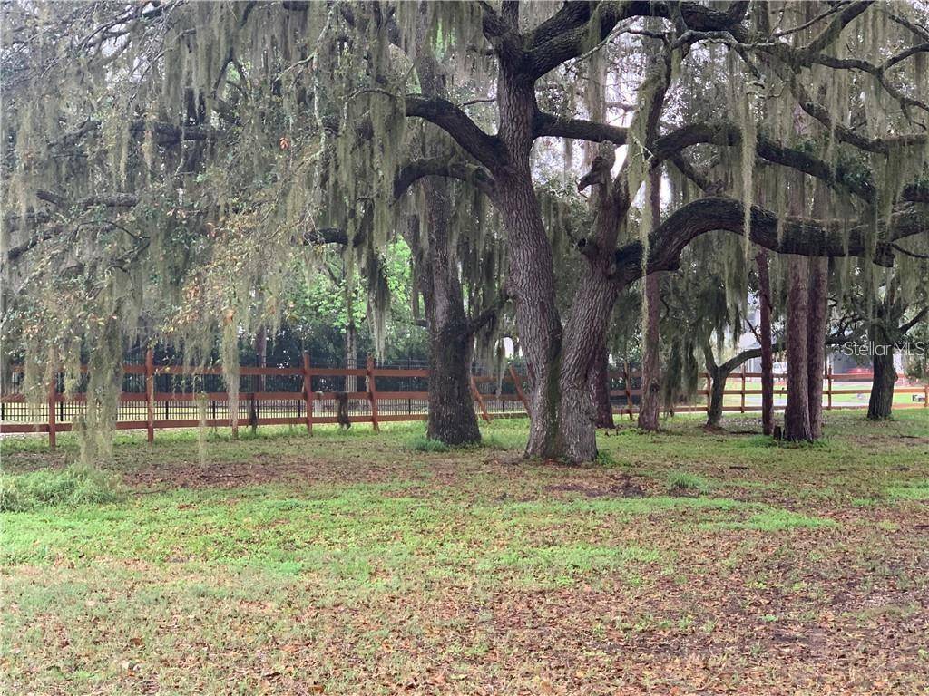 MARJORIE RD, St Cloud, FL 34772