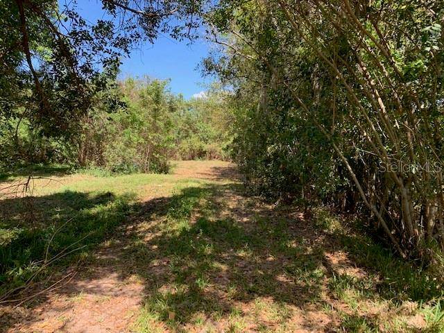 1290 CINDER LN, Kissimmee, FL 34744