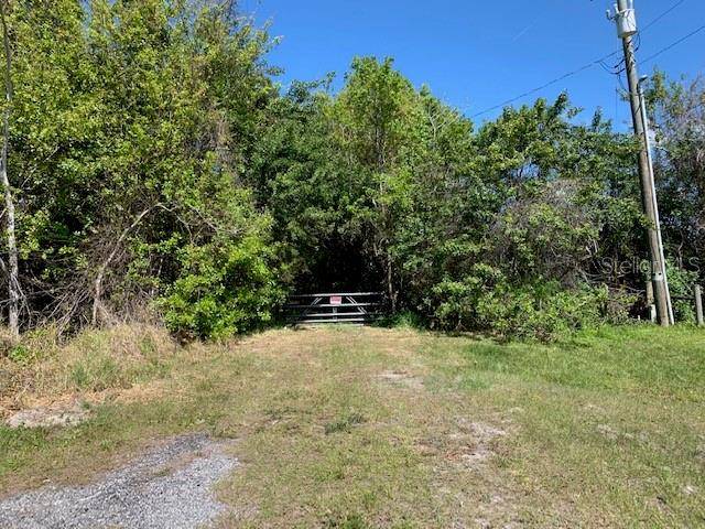 1290 CINDER LN, Kissimmee, FL 34744