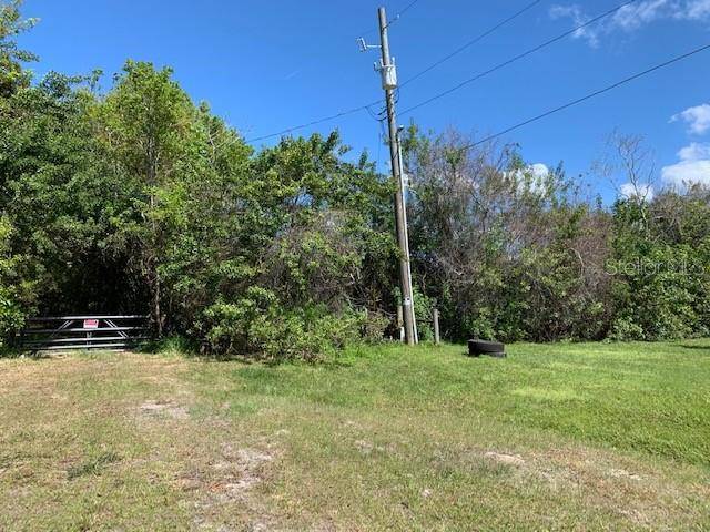 1290 CINDER LN, Kissimmee, FL 34744