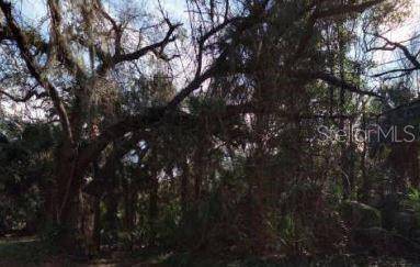 0 N 7TH ST, Fernandina Beach, FL 32034