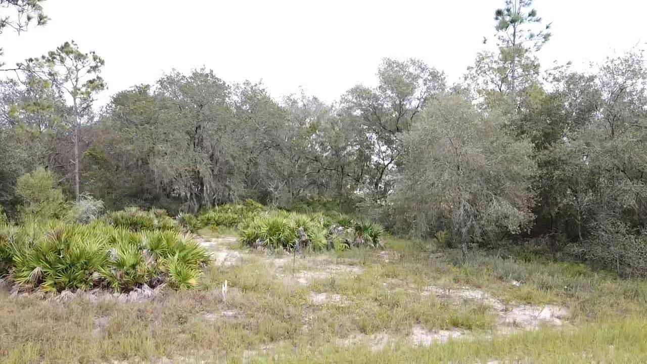 1405 SARASOTA CT, Poinciana, FL 34759