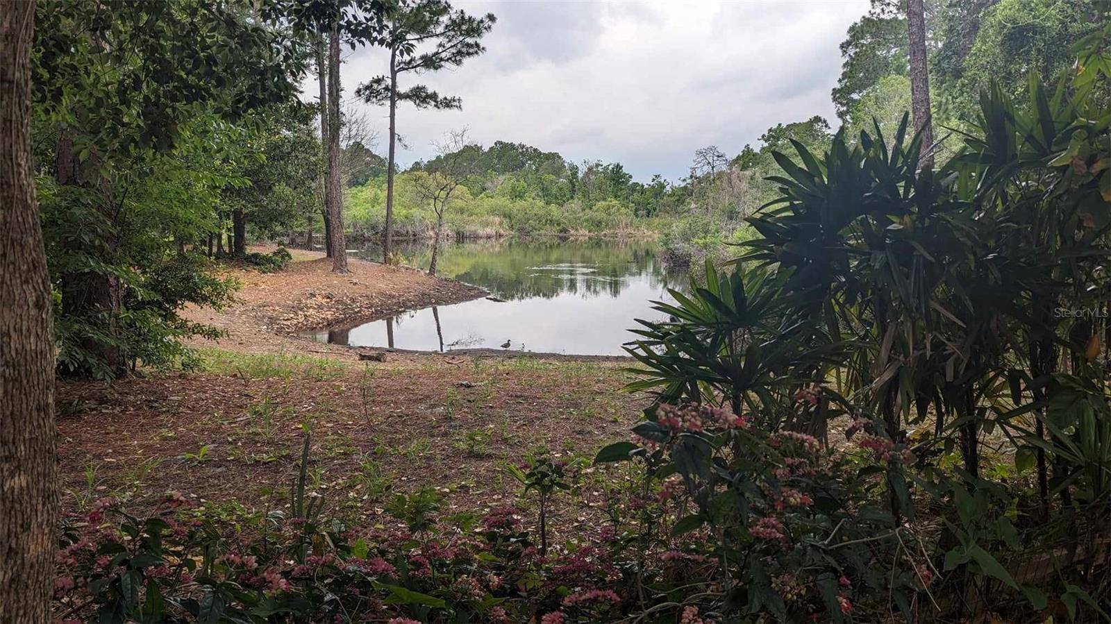 268 ALMYRA DR, Lake Mary, FL 32746