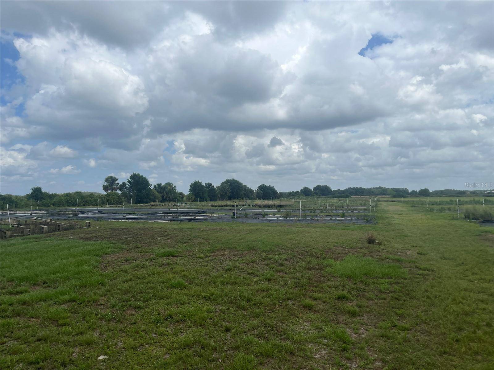 8737 HOLOPAW GROVES RD, St Cloud, FL 34773