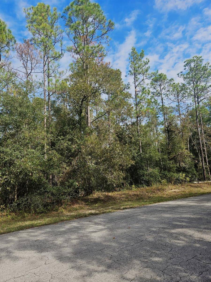 SOUTHWEST 206TH COURT RD, Dunnellon, FL 34431