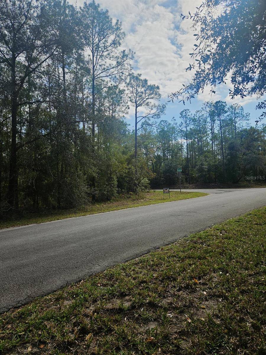 SOUTHWEST 206TH COURT RD, Dunnellon, FL 34431