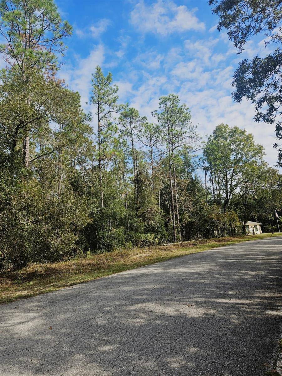 SOUTHWEST 206TH COURT RD, Dunnellon, FL 34431