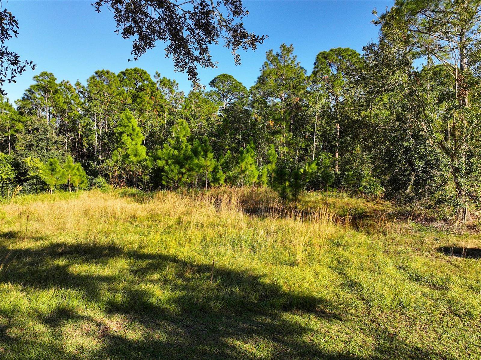 7161 OAK GLEN TRL, St Cloud, FL 34773