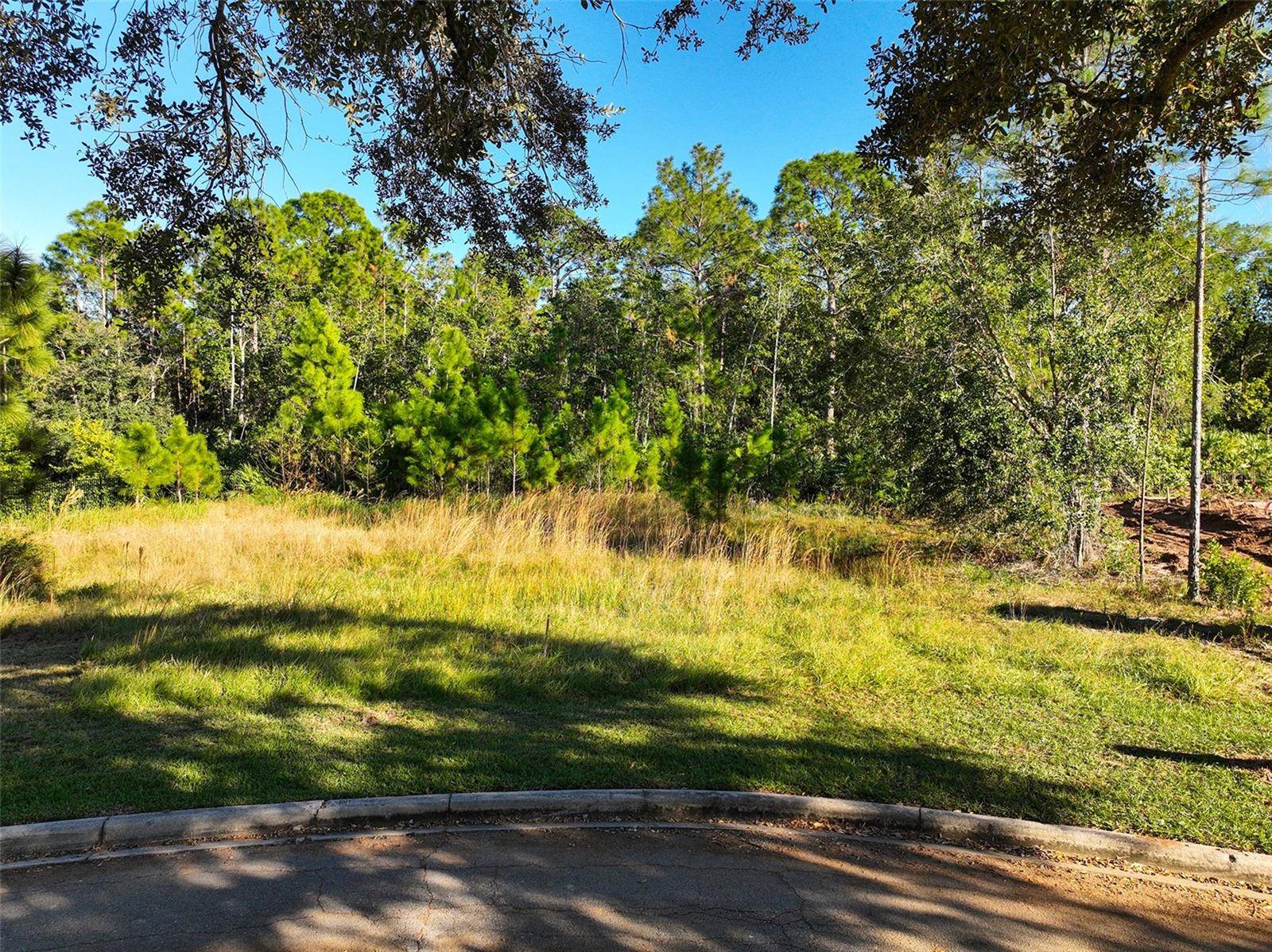 7161 OAK GLEN TRL, St Cloud, FL 34773