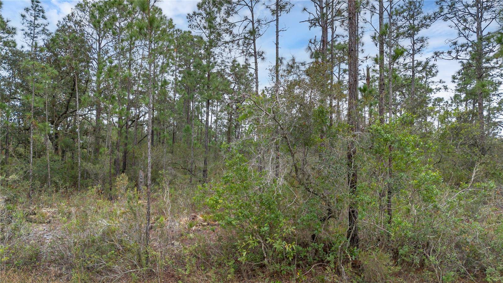 209 EL DORADO DR, Indian Lake Estates, FL 33855