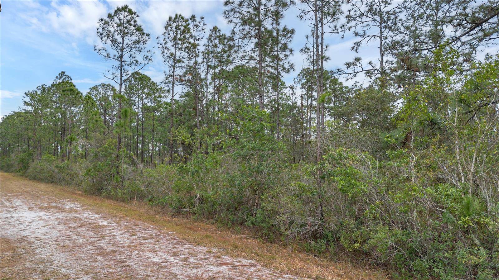 209 EL DORADO DR, Indian Lake Estates, FL 33855