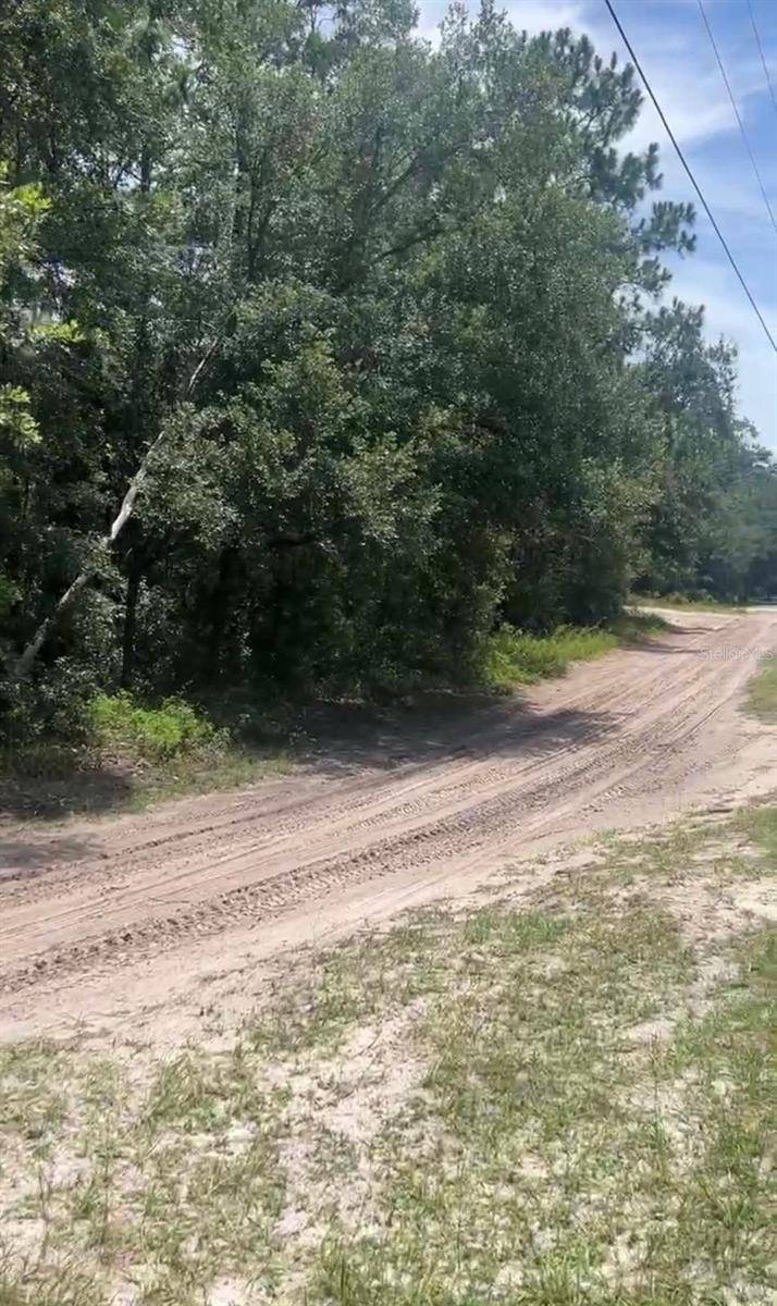 SW 156TH PL, Dunnellon, FL 34432
