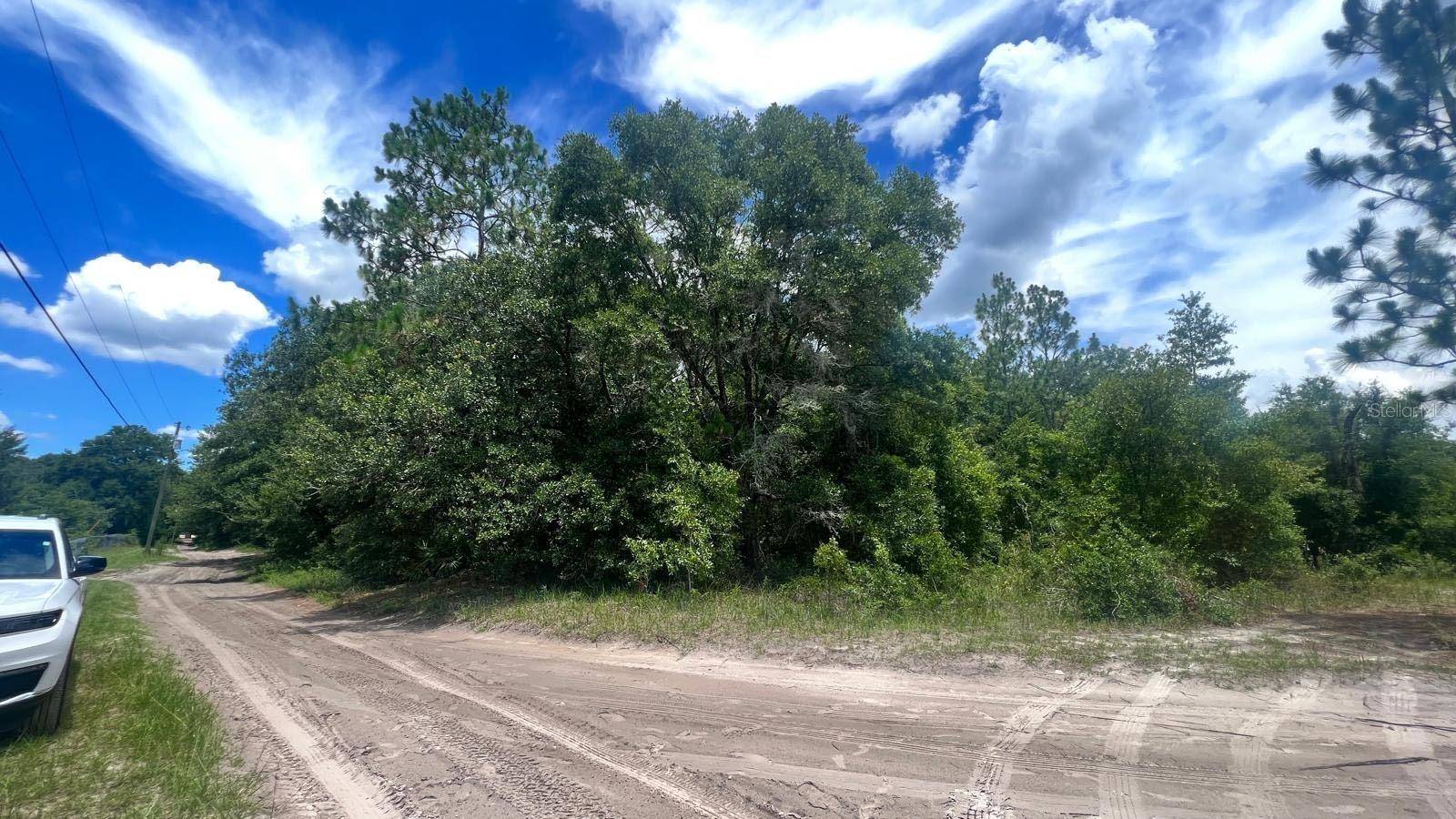 SW 156TH PL, Dunnellon, FL 34432