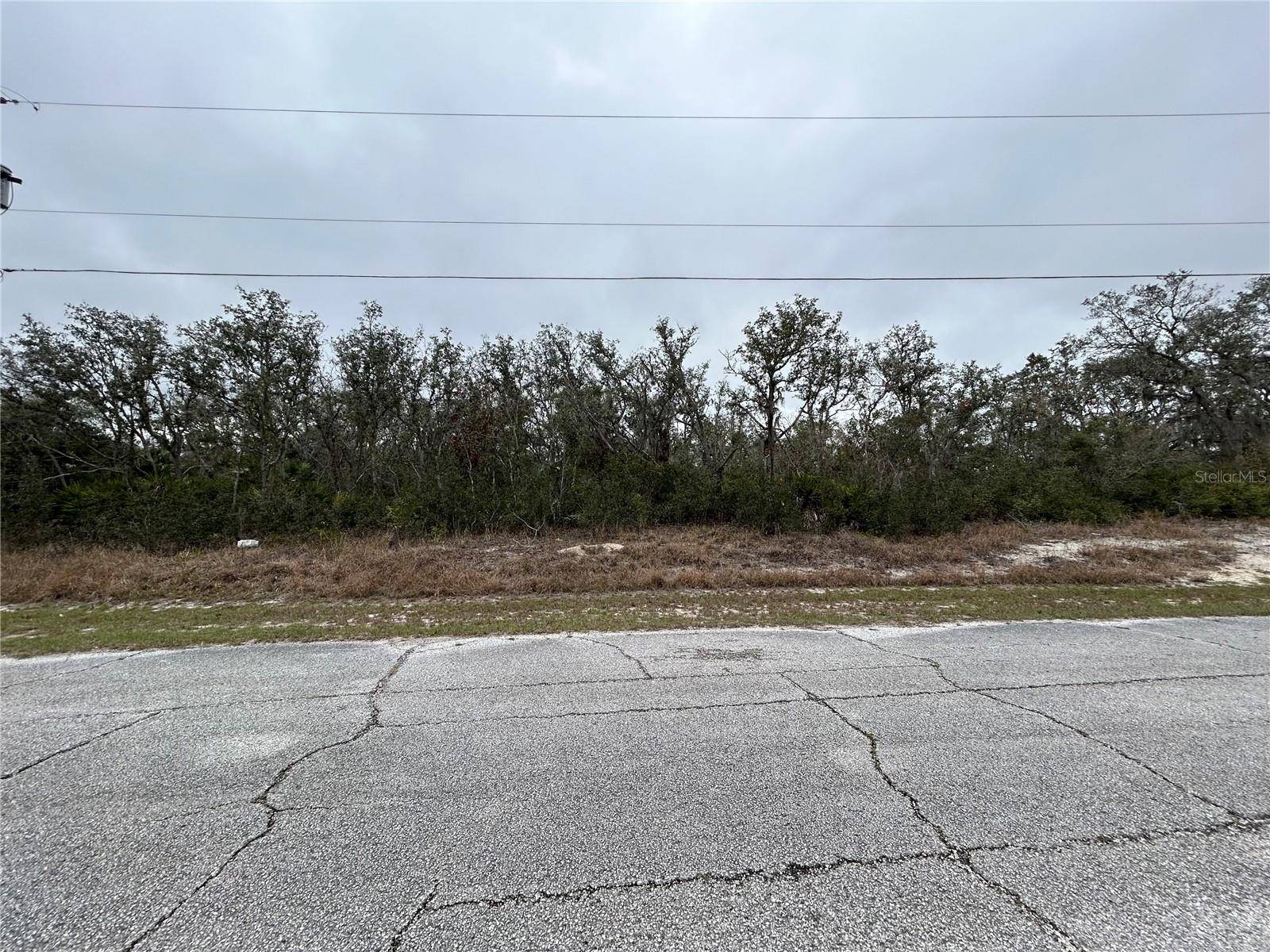 509 SARASOTA LN, Kissimmee, FL 34759