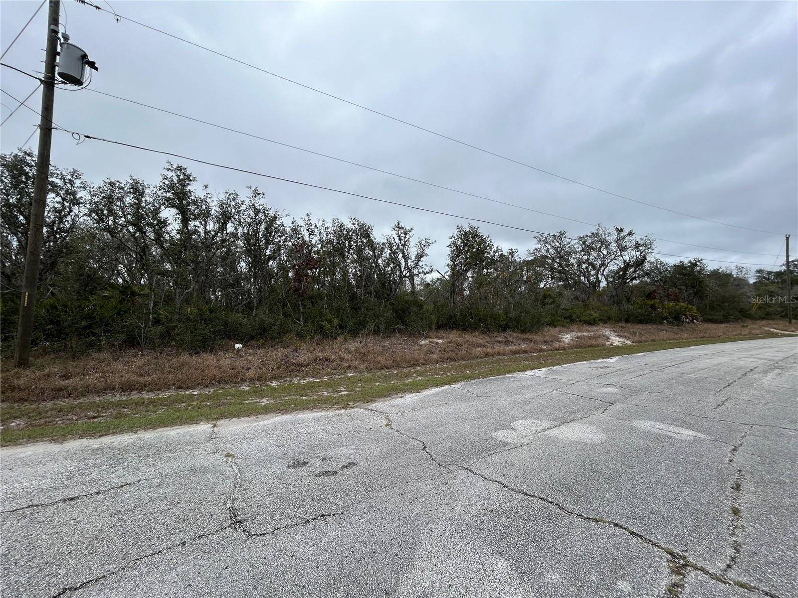 509 SARASOTA LN, Kissimmee, FL 34759