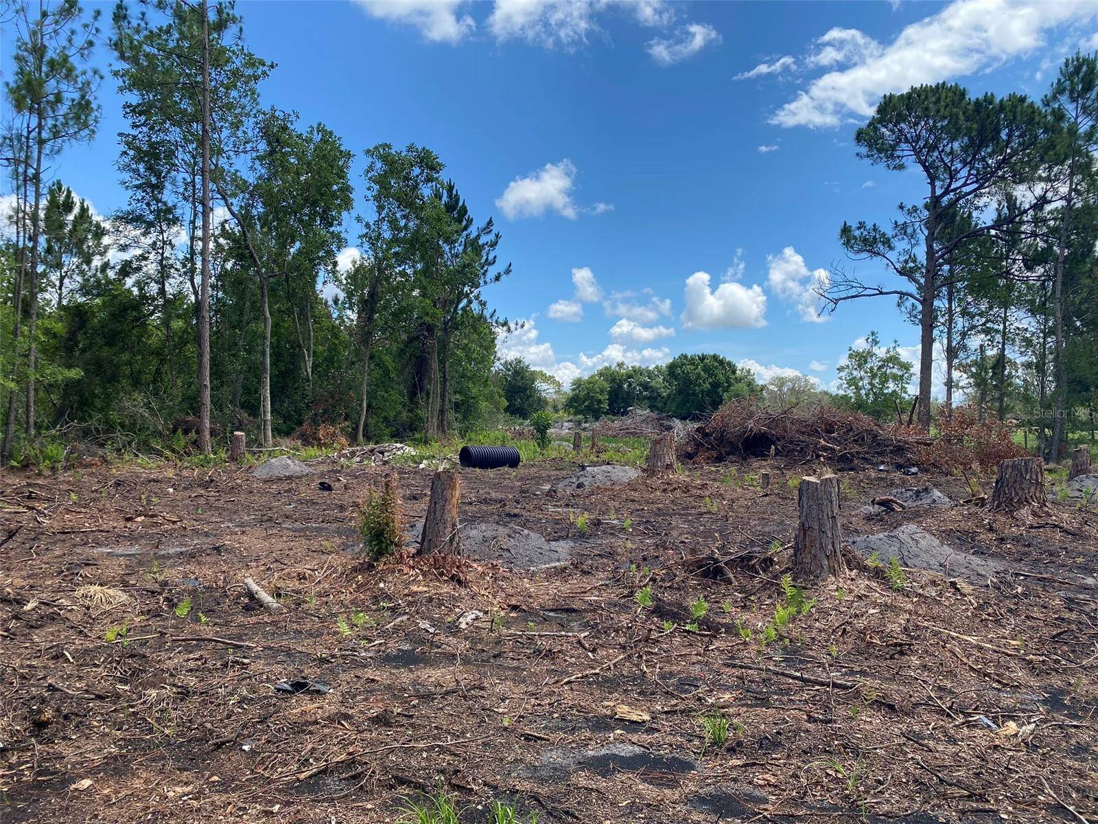 2101 W FROSTPROOF RD, Frostproof, FL 33843
