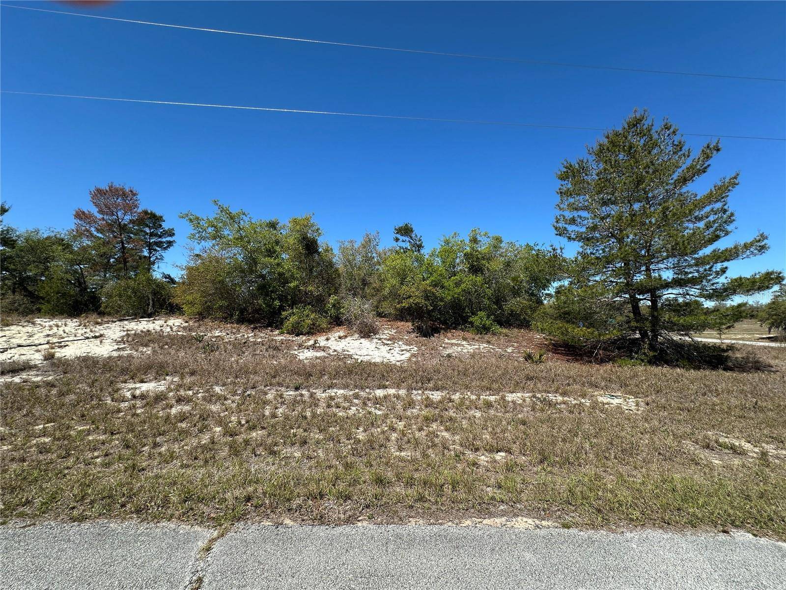 1386 HOMOSASSA DR, Kissimmee, FL 34759