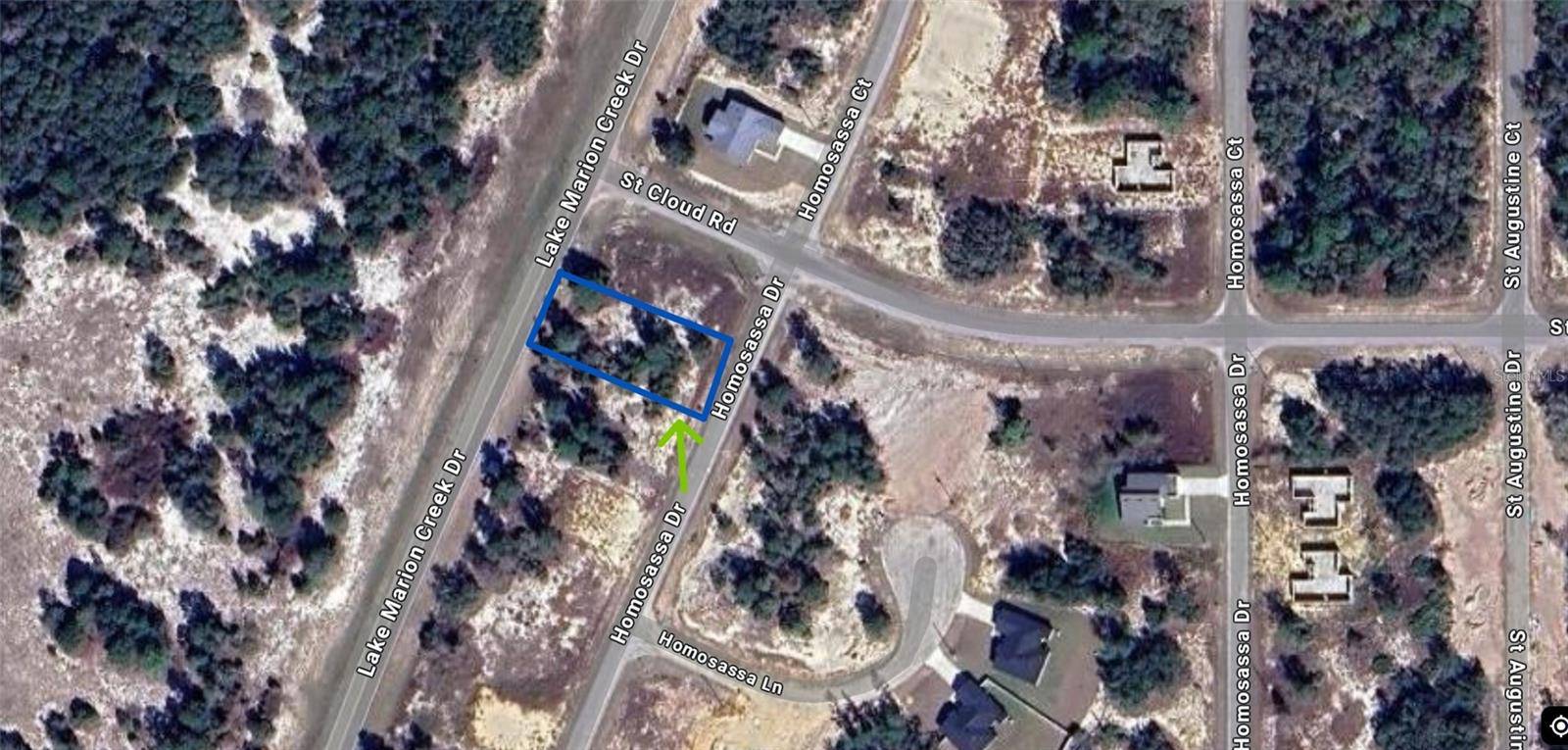 1386 HOMOSASSA DR, Kissimmee, FL 34759