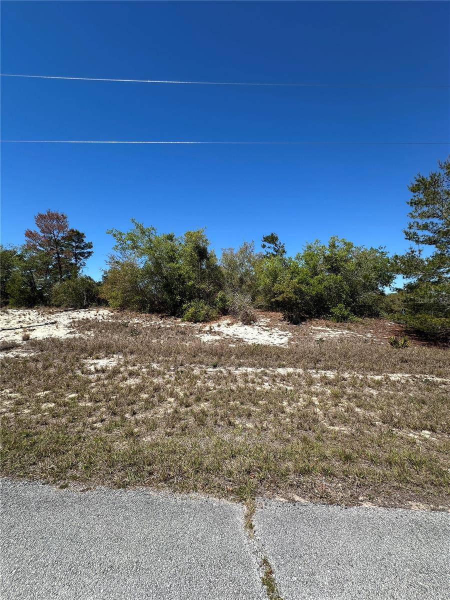 1386 HOMOSASSA DR, Kissimmee, FL 34759
