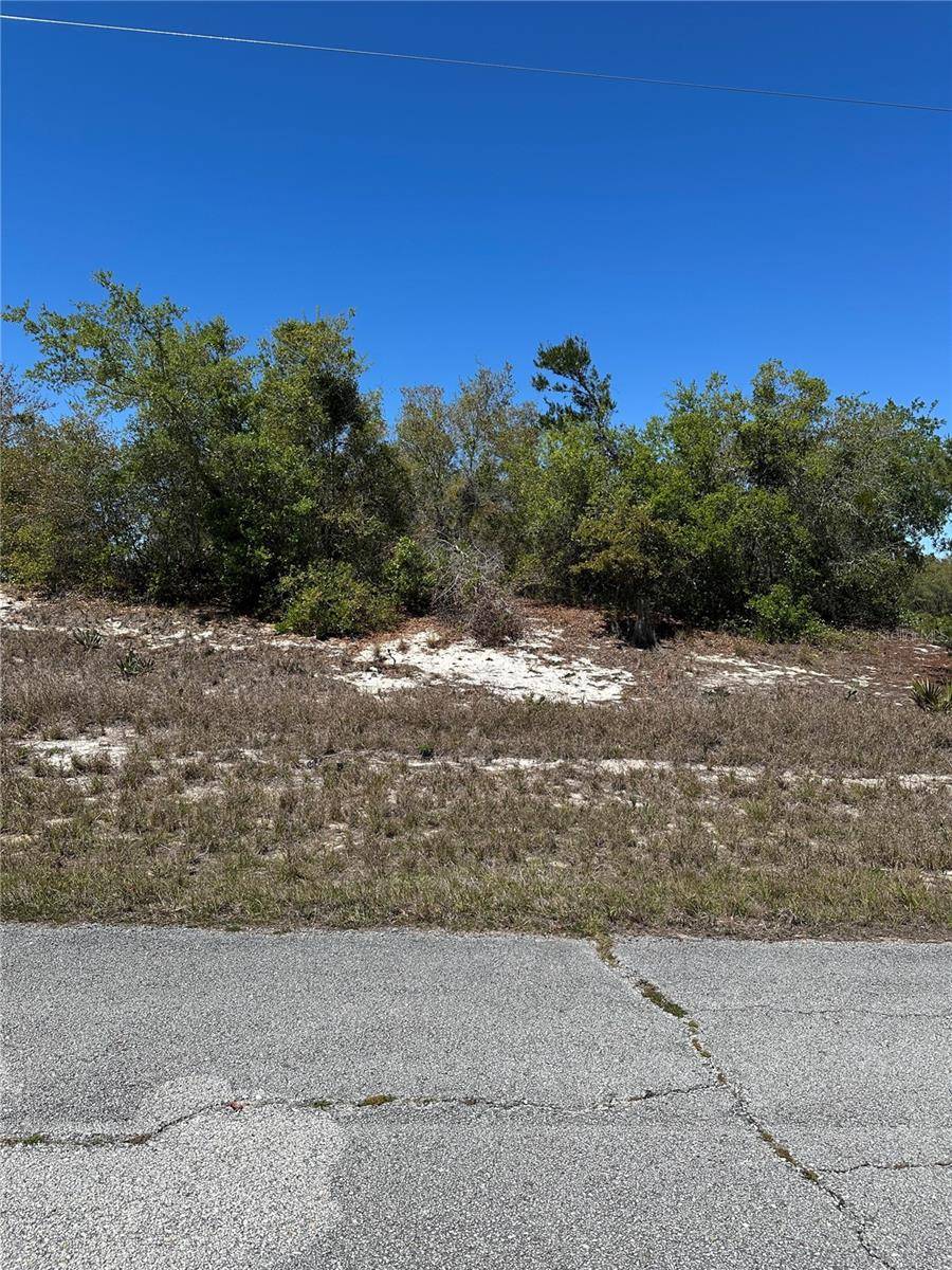 1386 HOMOSASSA DR, Kissimmee, FL 34759