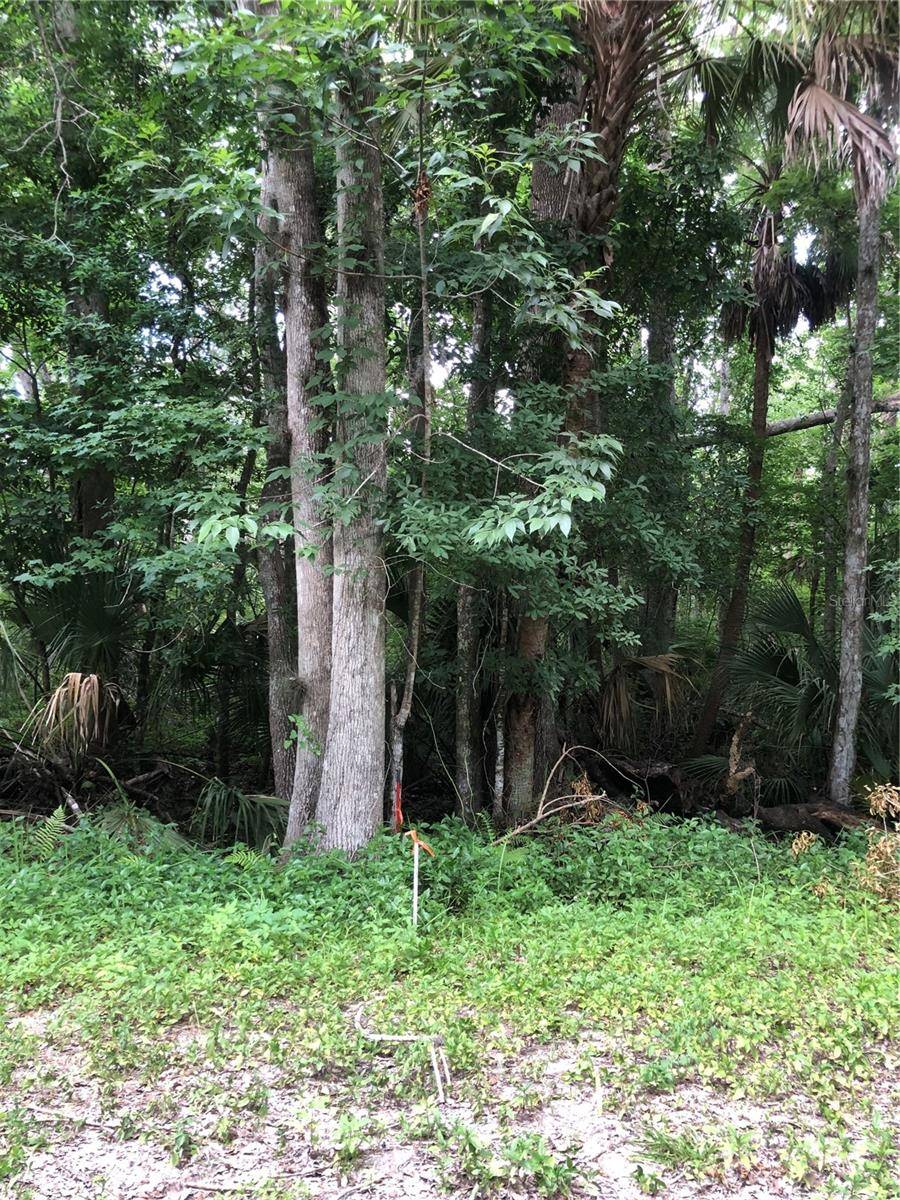 KEEFER TRL, Kissimmee, FL 34747