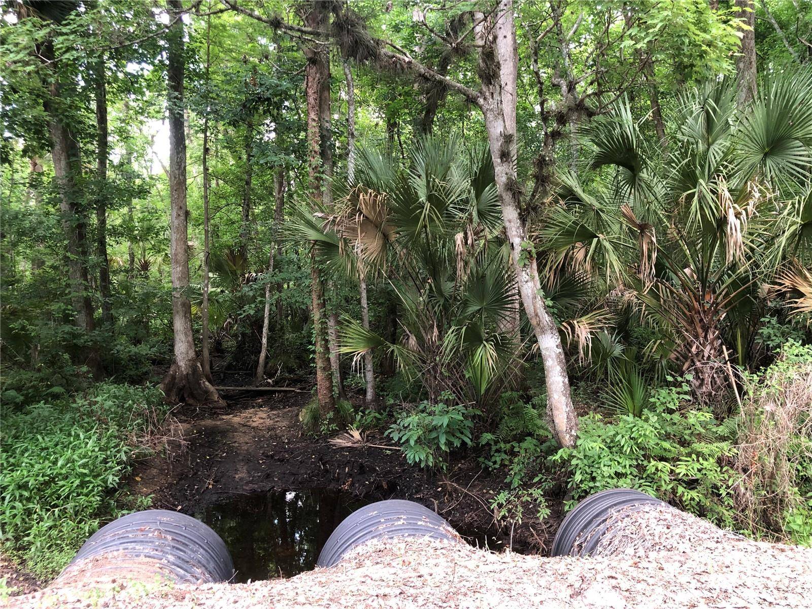 KEEFER TRL, Kissimmee, FL 34747