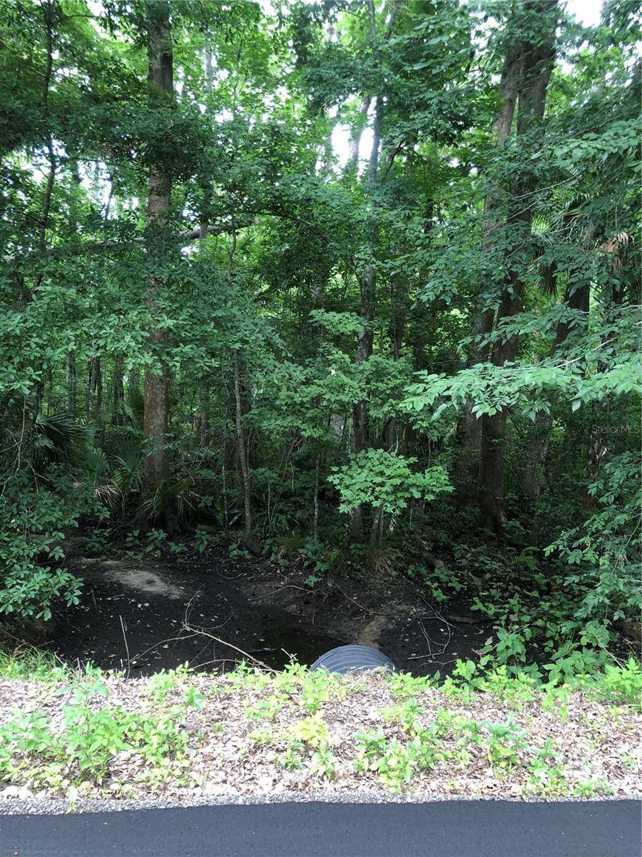 KEEFER TRL, Kissimmee, FL 34747